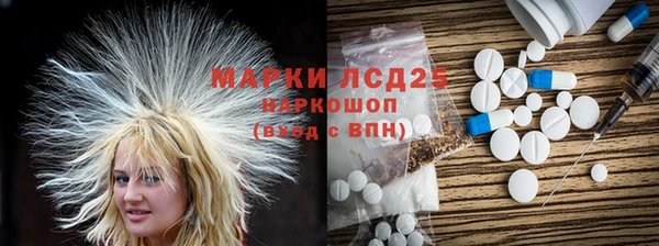 трава Няндома