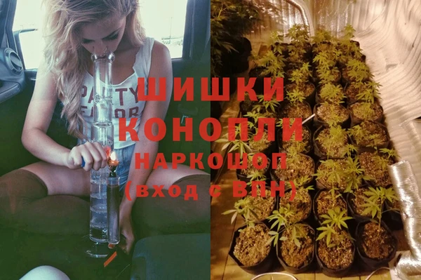 PSILOCYBIN Зеленокумск