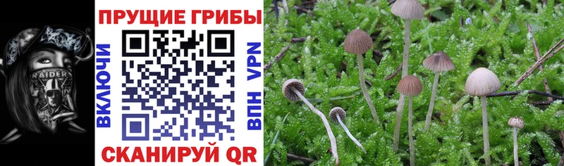 Псилоцибиновые грибы мухоморы  цена   Коркино 