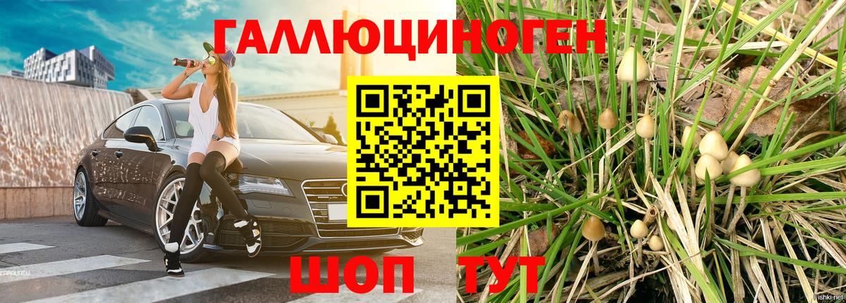 Коркино  Галлюциногенные грибы прущие грибы  Вход с VPN  Галлюциногенные грибы прущие грибы 
