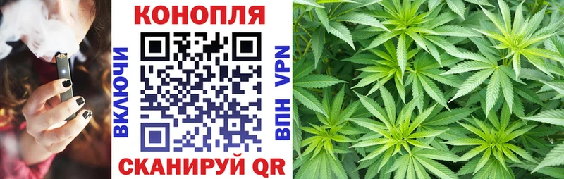 Канабис планчик  kraken маркетплейс  Коркино 